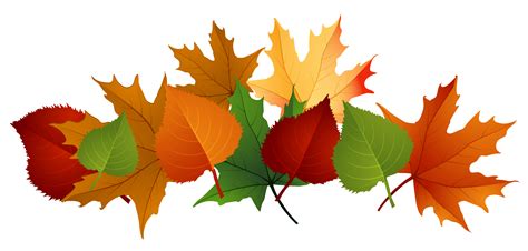 leaves clip art free|leaves clip art no background.